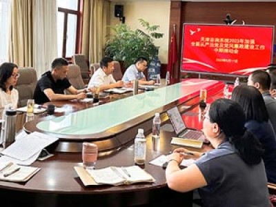 天津咨詢召開全面從嚴治黨及黨風(fēng)廉政建設(shè)工作年中推動會